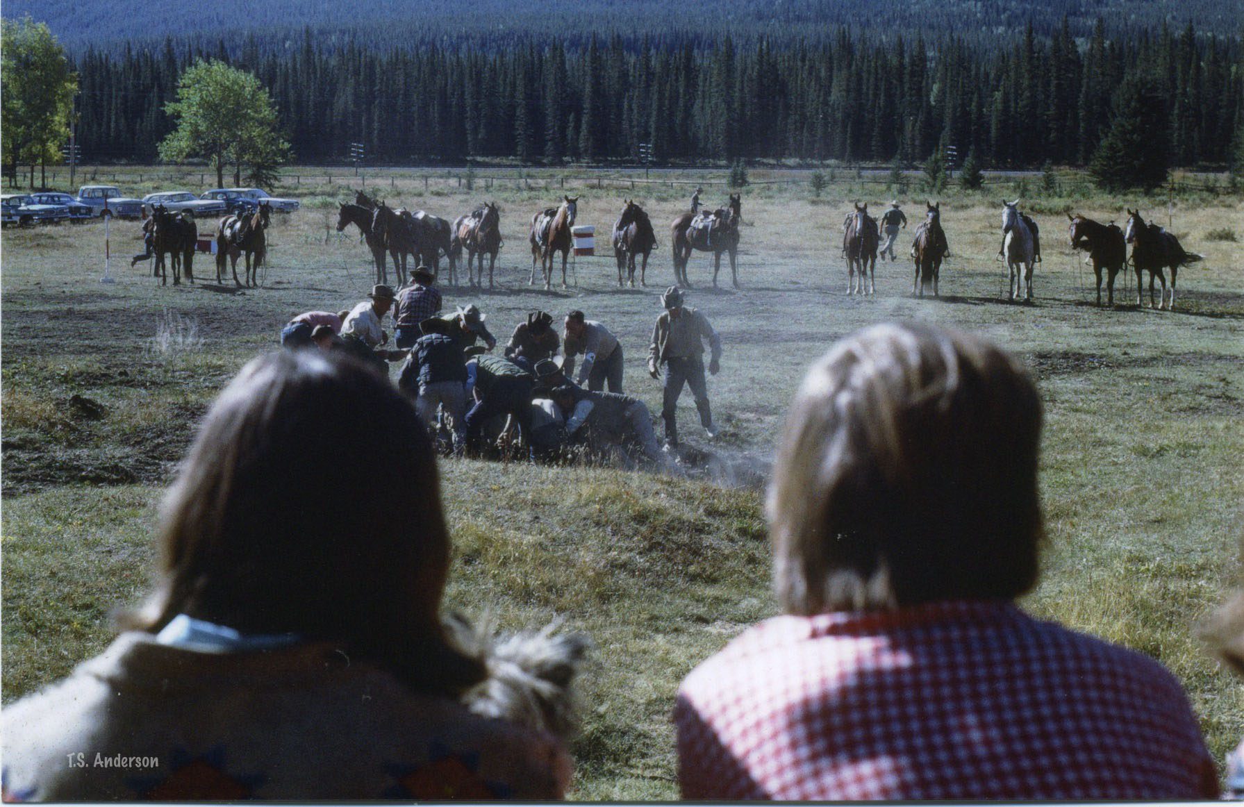 hillsdale-meadow-1968-jpeg