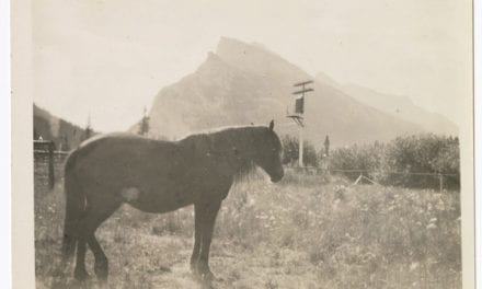 The Banff story of the Siberian pony named Heinie, a famous World War I survivor and trophy …