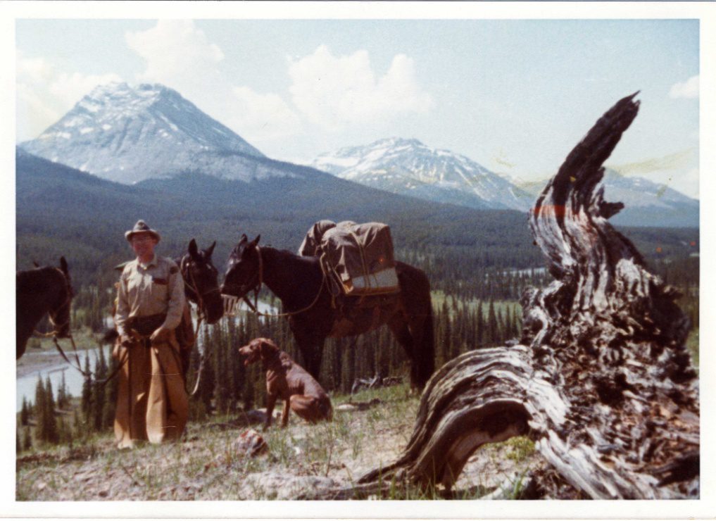 Rod Wallace – 1980 with Horses Kiwi, Hawk, and Earl and Deputy Dog, Partner above Greasebone Camp on the Brazeau River