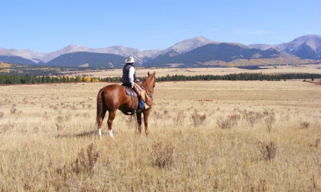 Friends of the Eastern Slopes