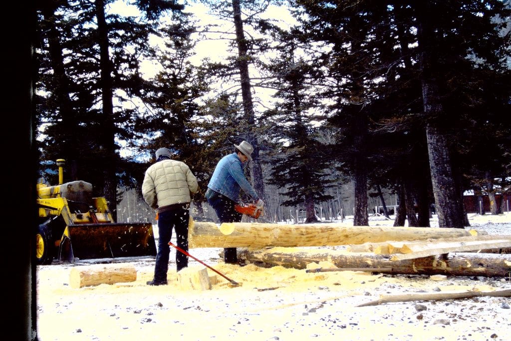 Frank and Johnny Building a Non-Hobbit cabin