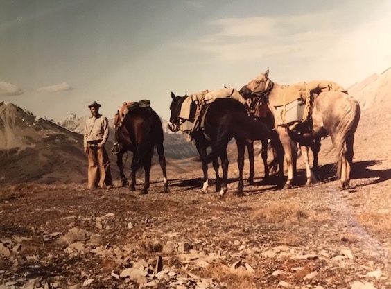 Doug and horses