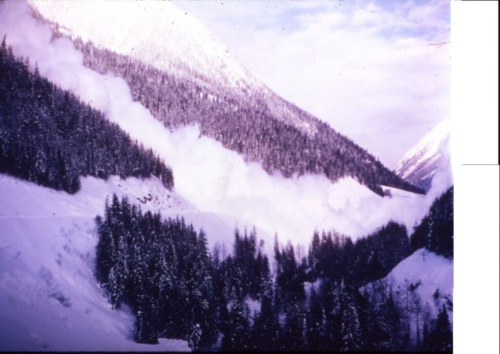 avalanche at Rogers pass