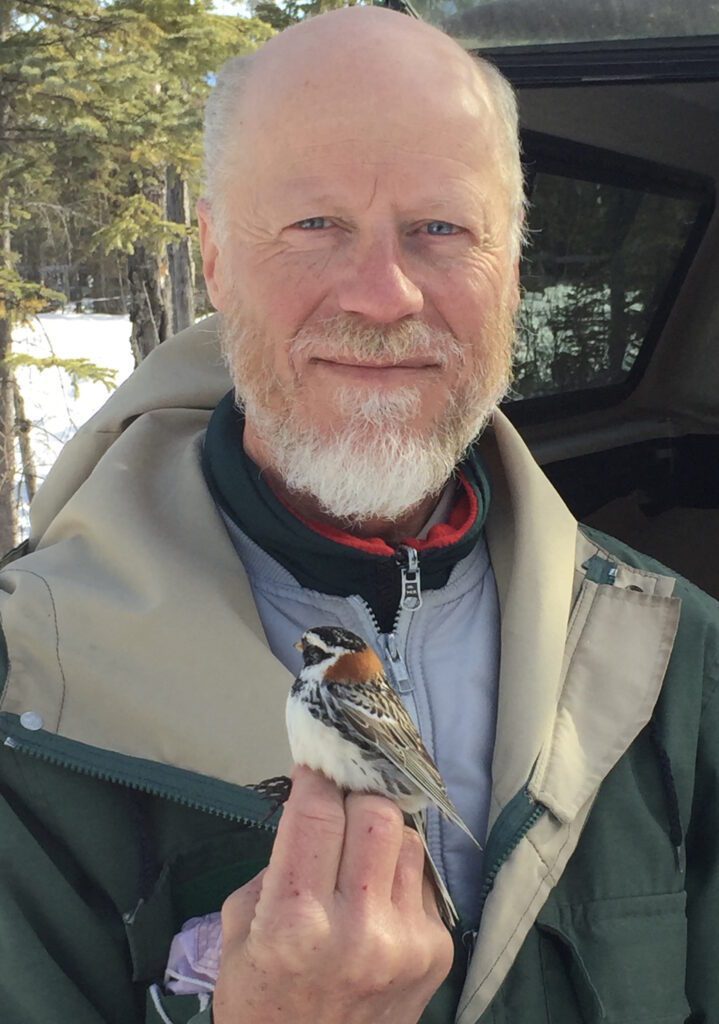 Bird banding Yukon 2017