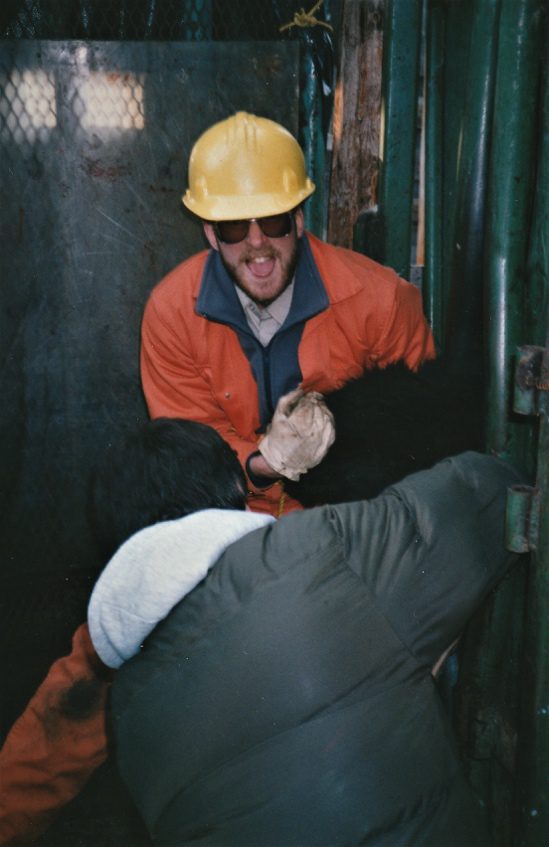 A.L. handling Bison – Elk Island National Park