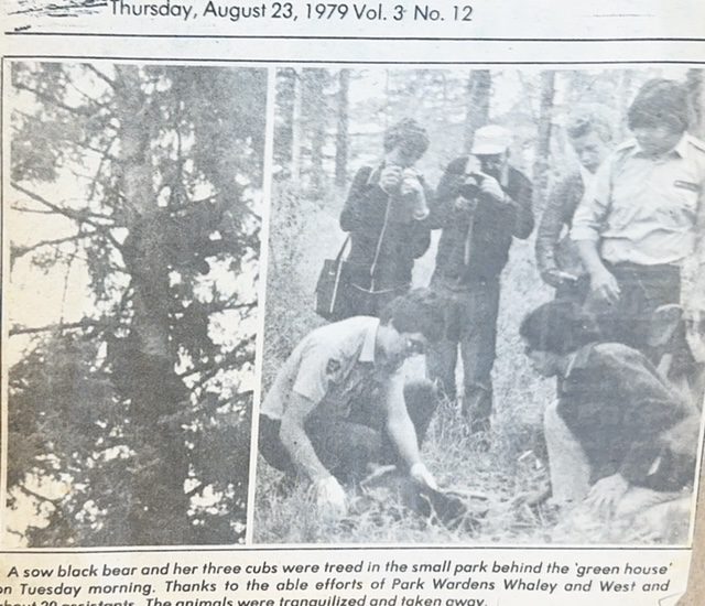  Slave River journal after we relocated a mother black bear and her 3 cubs out of downtown Fort Smith.  