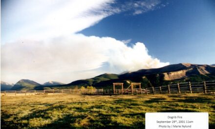 Memories of the Dogrib Fire 2001