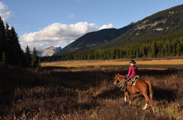                              Donna White on a back country horse trip to Palliser with Brad.  Photo by J. Bradford White.
