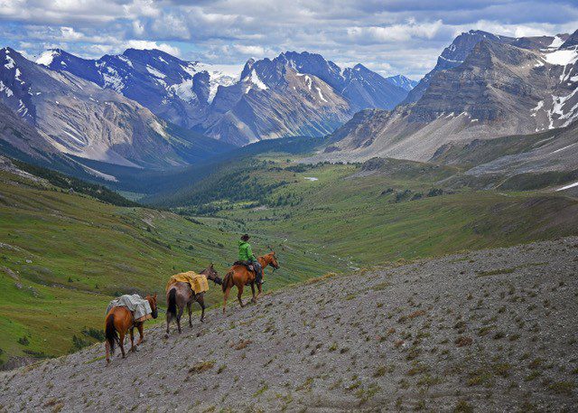                                                           Dave McDonough at Pipestone Pass.  Photo by J. Bradford White 