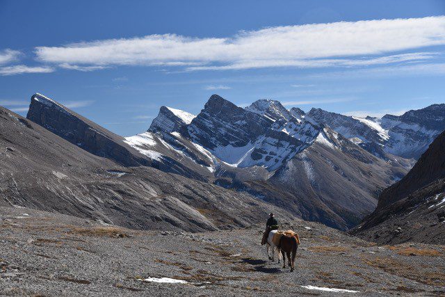                                          Lisa Paulson at Badger Pass on backcountry patrol.  Photo by J. Bradford White