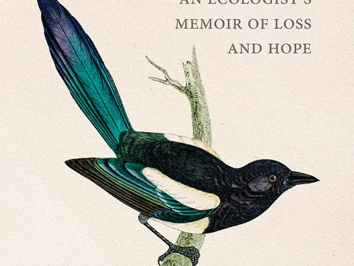 UNDERSTORY, An Ecologist’s Memoir of Loss and Hope