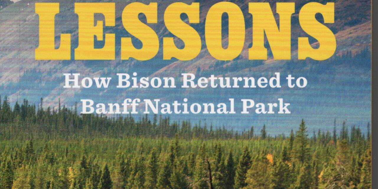 BUFFALO LESSONS How Bison Returned to Banff National Park