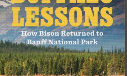 BUFFALO LESSONS How Bison Returned to Banff National Park