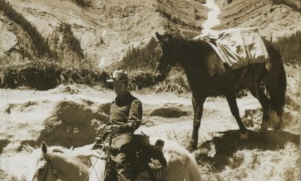Close Calls on High Walls and other Tales from the Warden Service