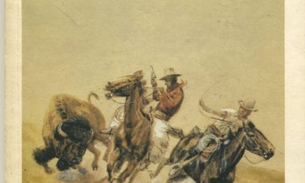 The Park Buffalo  by Sheilagh C. Ogilvie